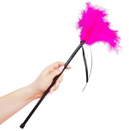 SECRETPLAY - PLUMERO PLUMAS ROSA 40 CM