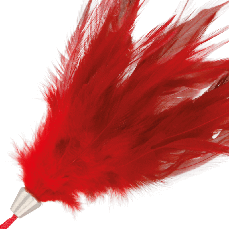 DARKNESS - PLUMA ESTIMULADORA ROJO 17CM - Imagen 2