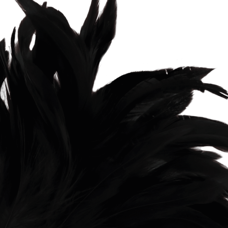DARKNESS - PLUMA ESTIMULADORA NEGRO LUX - Imagen 2